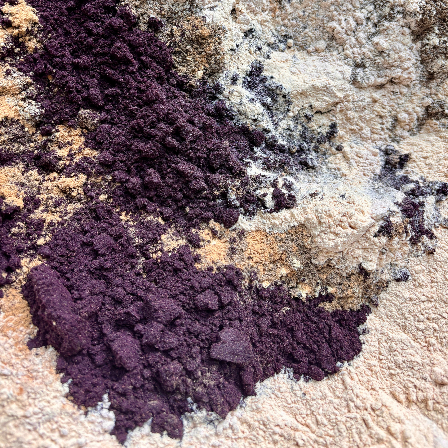 Blood + Gut Metabolic Powder