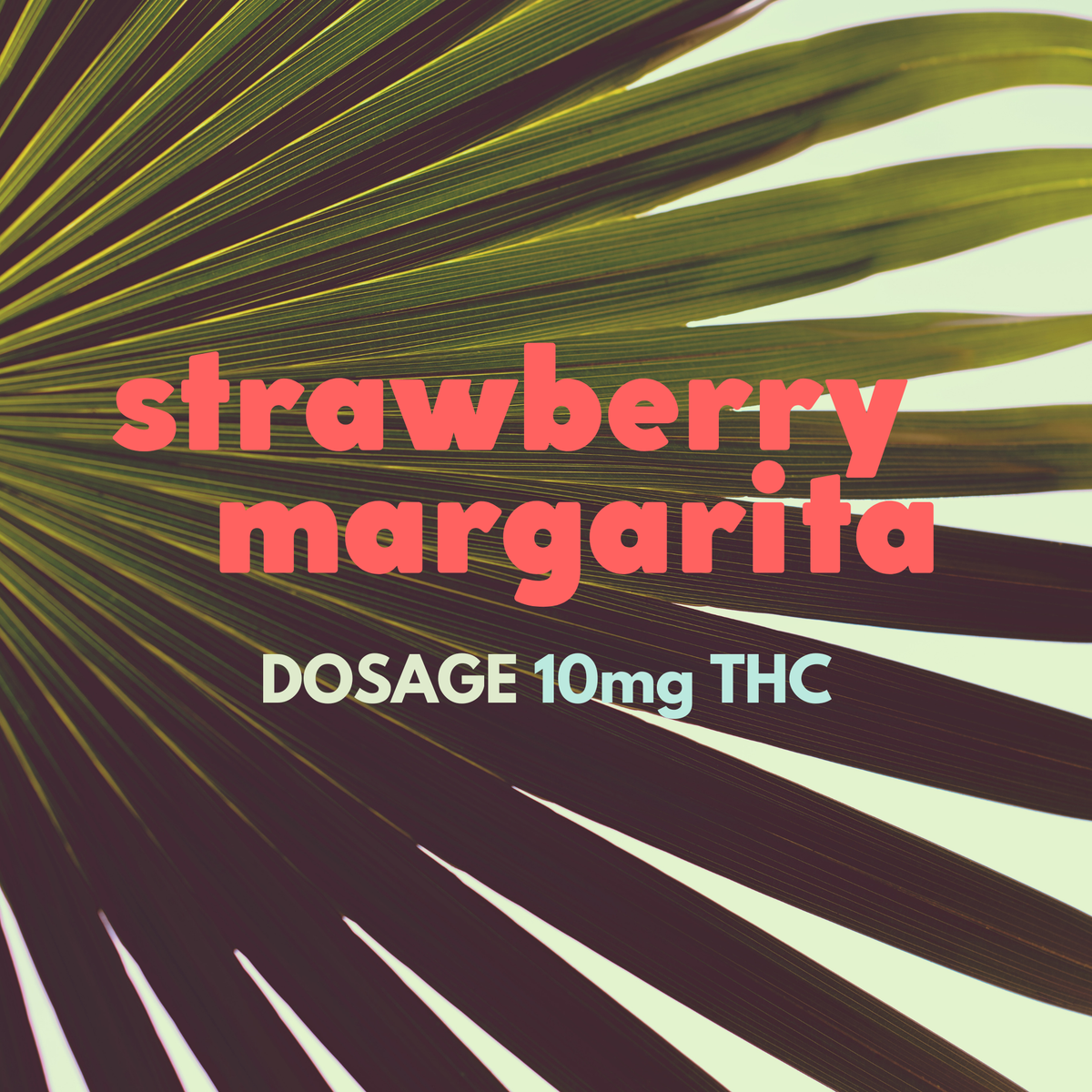 COCKTAIL COLLECTION | Strawberry Margarita 10mg