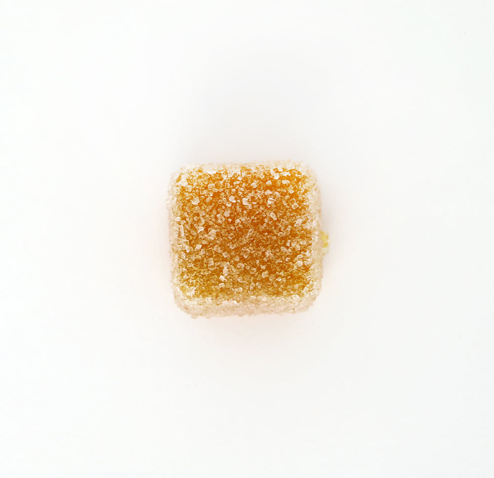 VITA NAVITAS | Life Energy + Focus