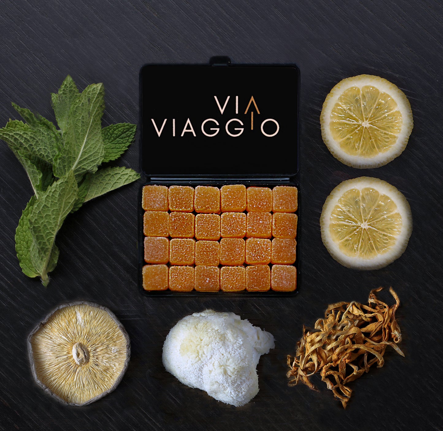 VITA NAVITAS | Life Energy + Focus