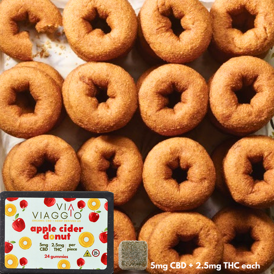FALL COLLECTION | Apple Cider Donut