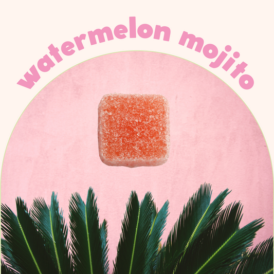 COCKTAIL COLLECTION | Watermelon Mojito